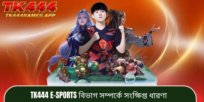 tk444-e-sports-sections